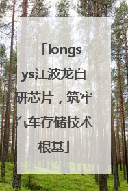 longsys江波龙自研芯片，筑牢汽车存储技术根基